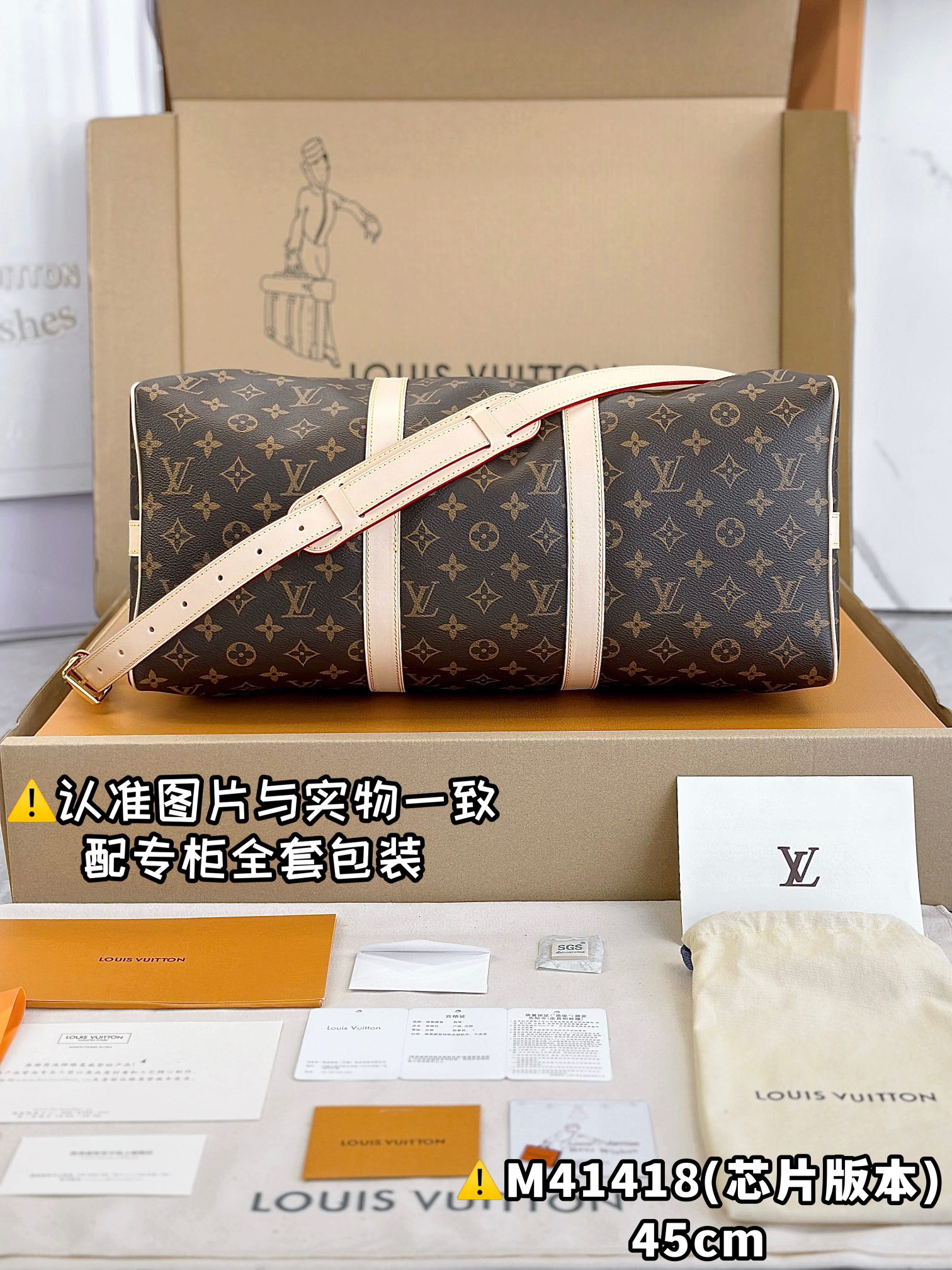 LV Travel Bags